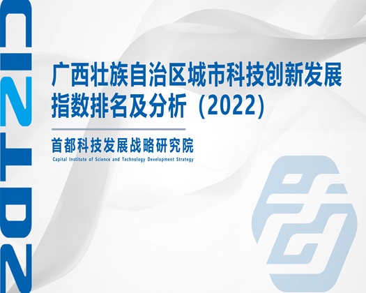 爆操狂插小逼视频【成果发布】广西壮族自治区城市科技创新发展指数排名及分析（2022）